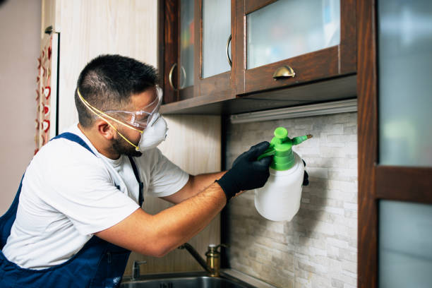 Best Commercial Pest Control Services  in Leisure Village East, NJ