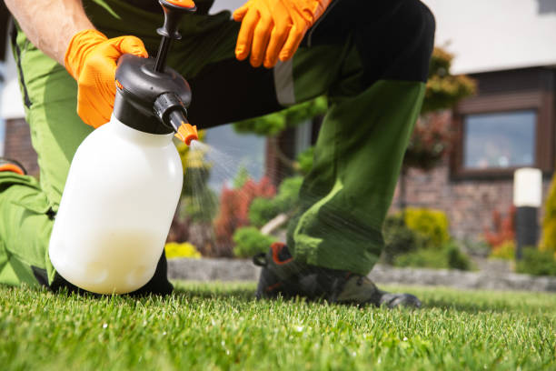 Best Ant Control Services  in Leisure Village East, NJ