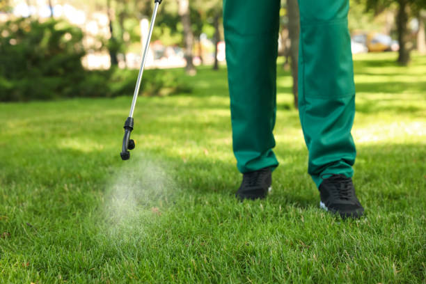 Best Affordable Pest Control Services  in Leisure Village East, NJ