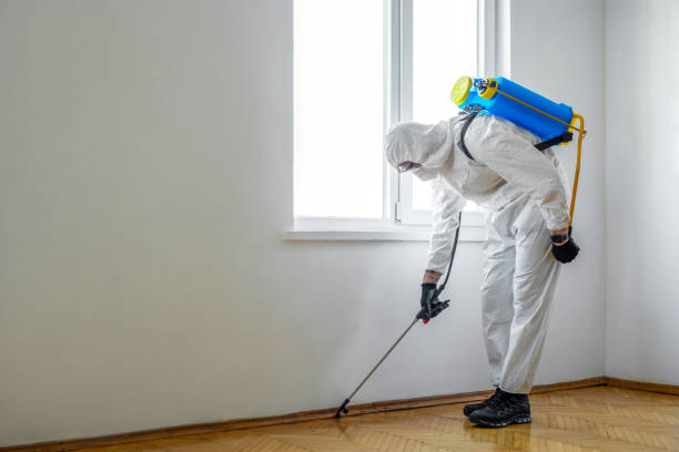 Best Wildlife Control Services  in Leisure Village East, NJ