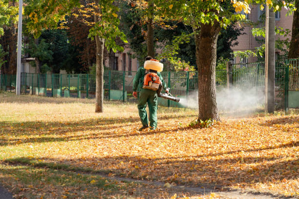Best Emergency Pest Control  in Leisure Village East, NJ